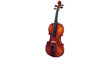 Czech Made Violin by Strunal