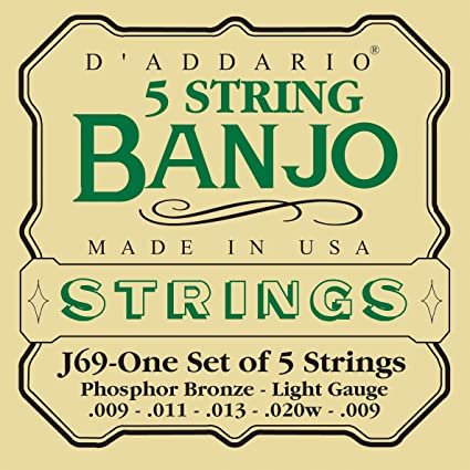 Banjo String Set - D'addario Blue Grass 5 string banjo set - J-69