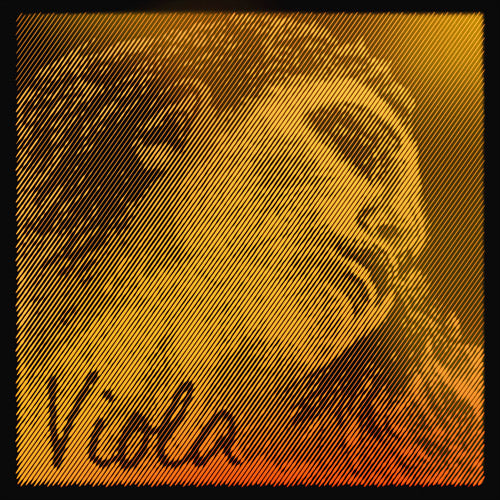 Evah Pirazzi Gold Viola Strings