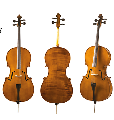 Czech Made Cello - Carved. Maple back, Spruce top